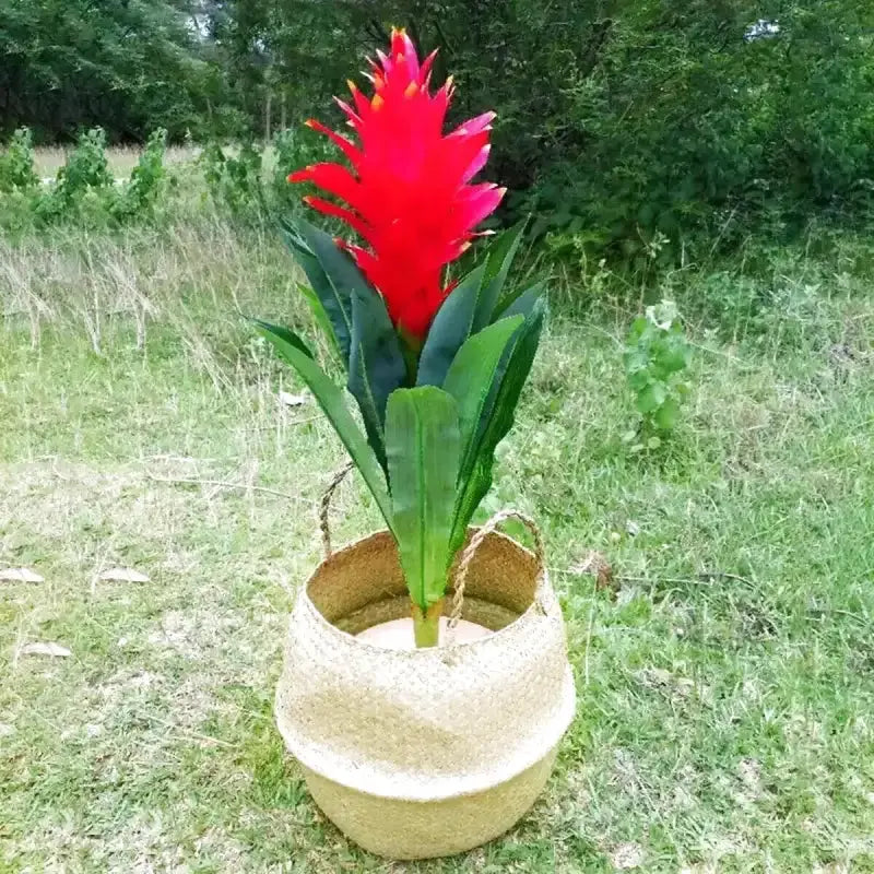Panier cache-pot pliable - panier en osier
