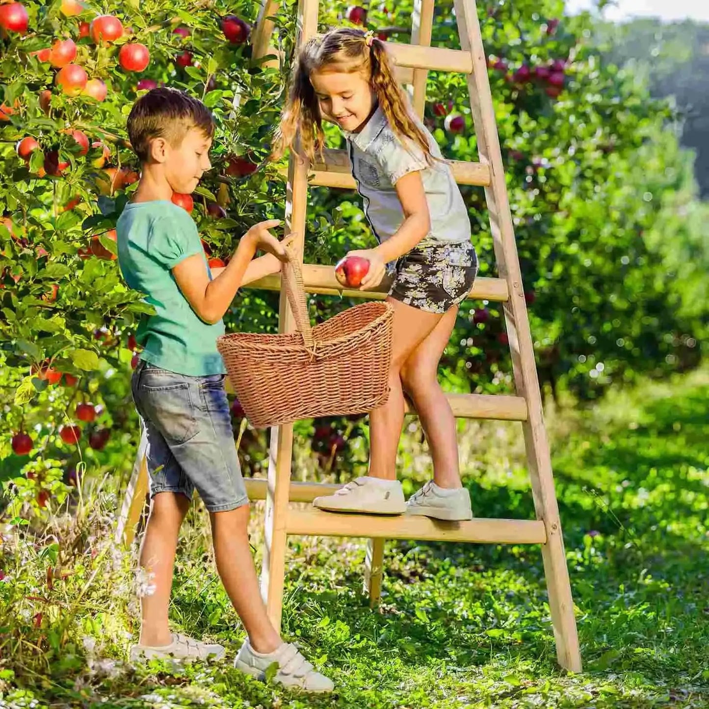 Grand Panier en Osier - panier en osier